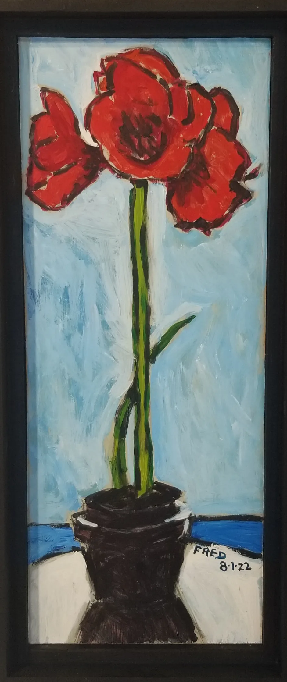 Amaryllis
